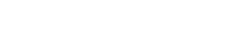 Світлий логотип Nordic Club UA на темному тлі